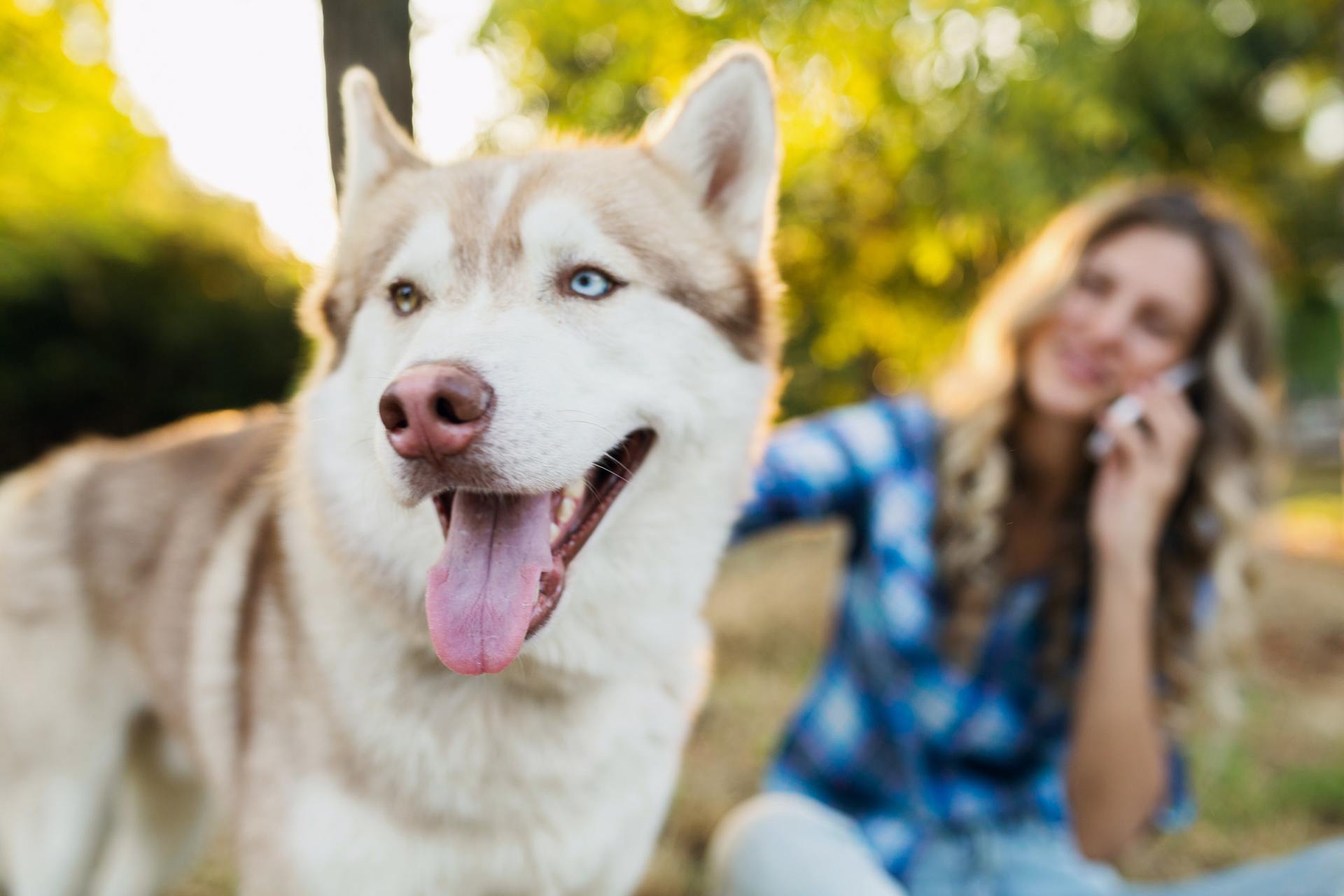 woman with dog talking on phone